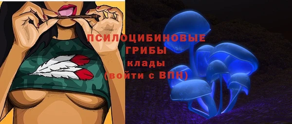 индика Армянск