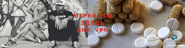 прущие грибы Балабаново