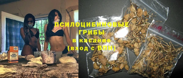 гашик Сосновоборск