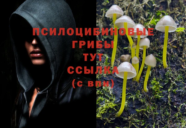 соль курить ск Арсеньев