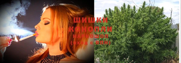 ПСИЛОЦИБИНОВЫЕ ГРИБЫ Сосновый Бор