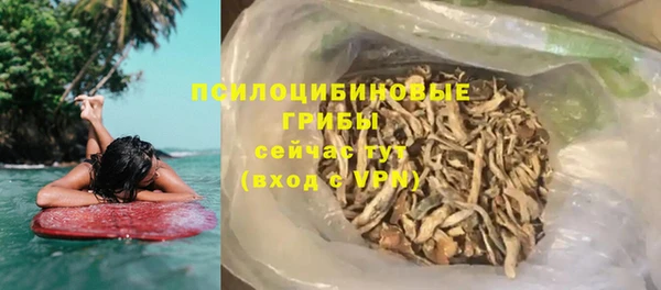 прущие грибы Балабаново