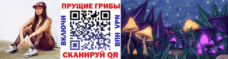где купить   Кирово-Чепецк  kraken сайт  Псилоцибиновые грибы мухоморы 