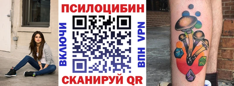 Галлюциногенные грибы Psilocybe Кирово-Чепецк